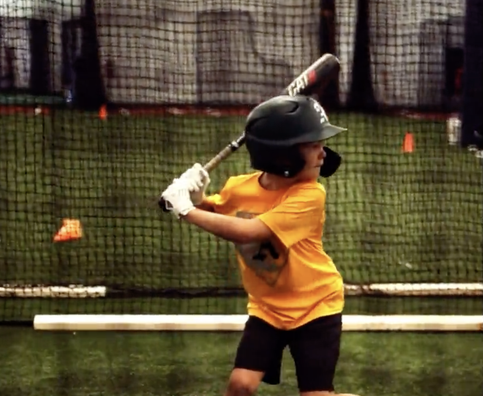 Batting cage